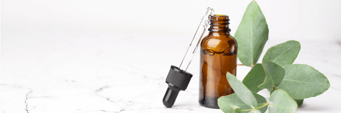 Black Seed Oil and Honey: Should You Be Taking Them Together?