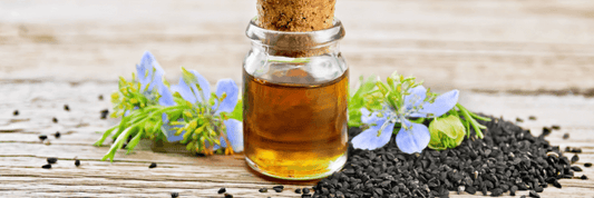 two blue nigella sativa flowers, glass jar of black seed oil and black cumin seeds