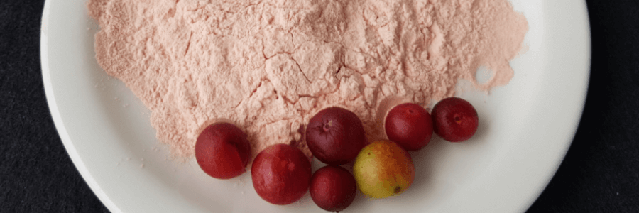 Camu Camu powder in white bowl with several Camu berries