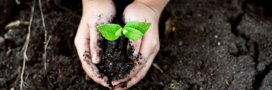 Earth Day 2023: Daily Ways You Can Invest In Our Planet