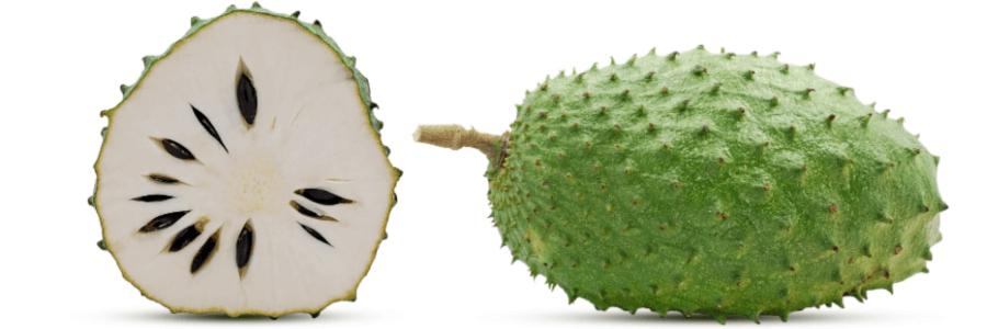 Sliced graviola fruit with white flesh and black seeds exposed next to uncut green graviola fruit