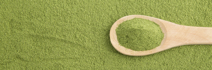 Is Moringa Good For You? 5 Science Based Benefits