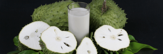 Prickly, green Soursop Fruit sliced in half with white flesh an seeds exposed