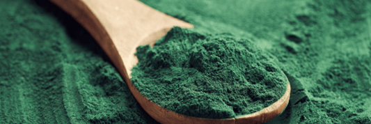 wooden spoon filled with spirulina on top pile of spirulina powder