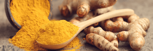 Pile of yellow turmeric curcumin powder next to whole turmeric root