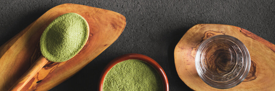 Wheatgrass Juice Powder in wooden spoon next to bowl of powder and glass of water