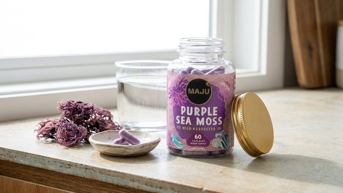 Open jar of MAJU purple sea moss capsules with two capsules in a dish and dried sea moss