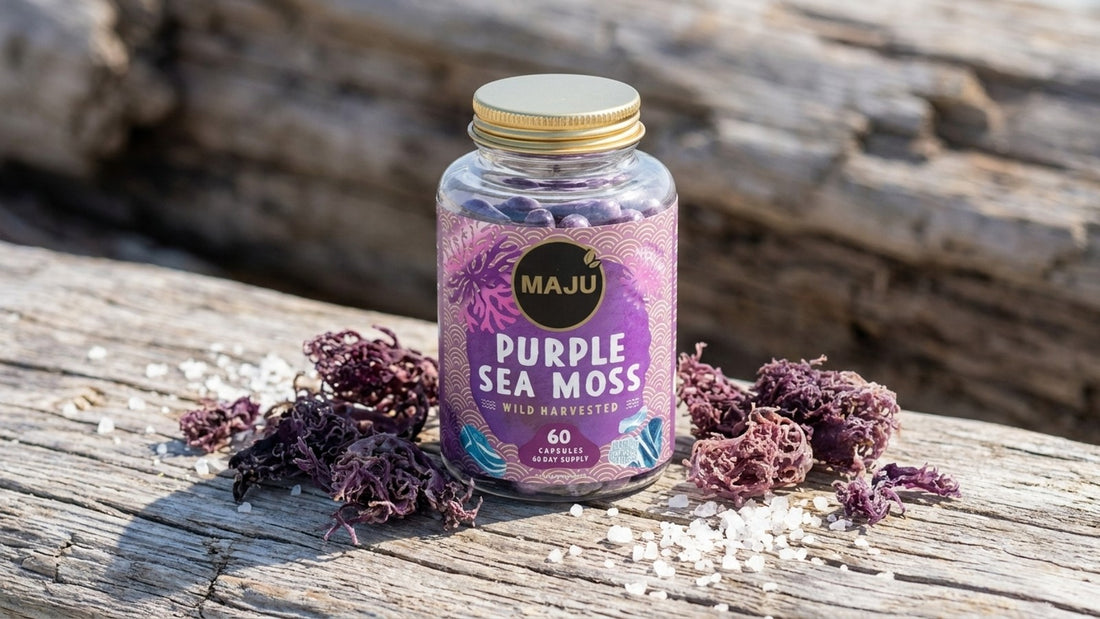 MAJU purple sea moss capsules jar on driftwood with dried sea moss