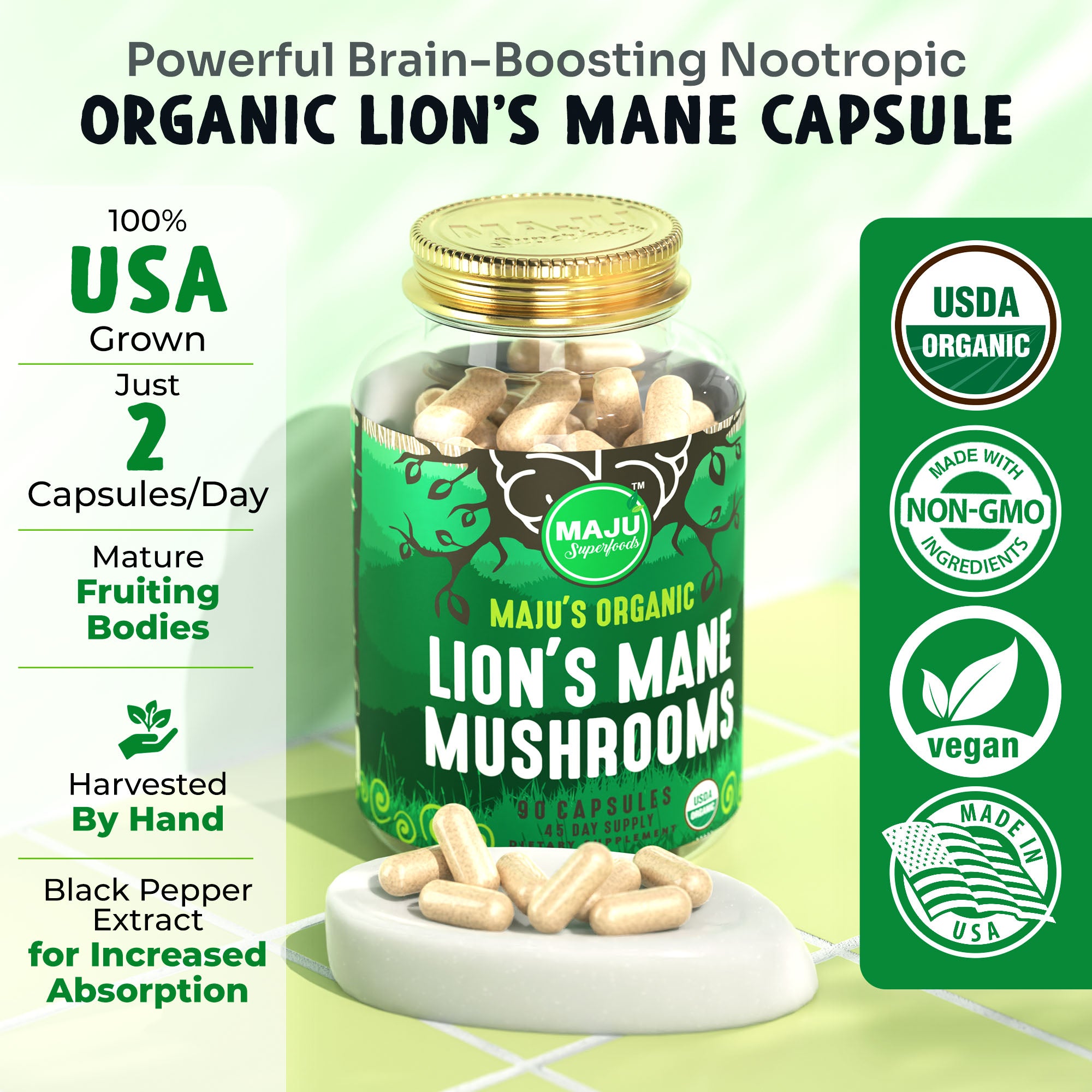 Lion's Mane Capsules (90ct) - Image 2