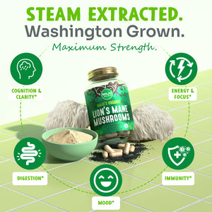 Lion's Mane Capsules (90ct) - Thumbnail 3