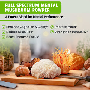 Mushroom Coffee Extract 80g — MAJU Lion's Mane, Chaga, Cordyceps & Reishi Blend - Thumbnail 2