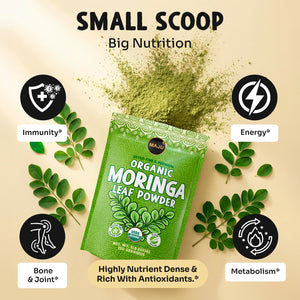 Organic Moringa Powder 1lb — MAJU Oleifera Leaf, Shade-Dried - Thumbnail 3