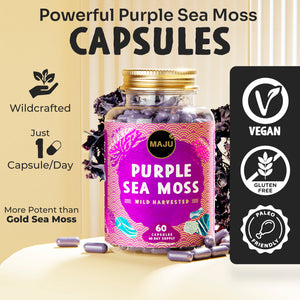 Black Seed Oil & Purple Sea Moss Capsule Bundle - Thumbnail 4