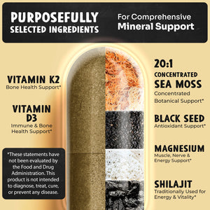 16-in-1 Mineral Replenish — MAJU Sea Moss Macro & Trace Minerals - Thumbnail 5