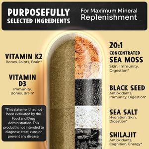 18-in-1 Mineral Replenish — MAJU Sea Moss Trace Minerals & Electrolytes - Thumbnail 4