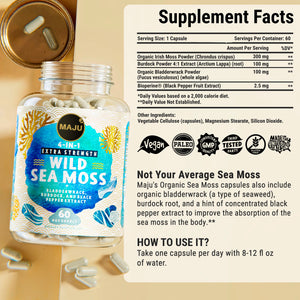 Seed & Sea Elixir Superfood Bundle - Thumbnail 8