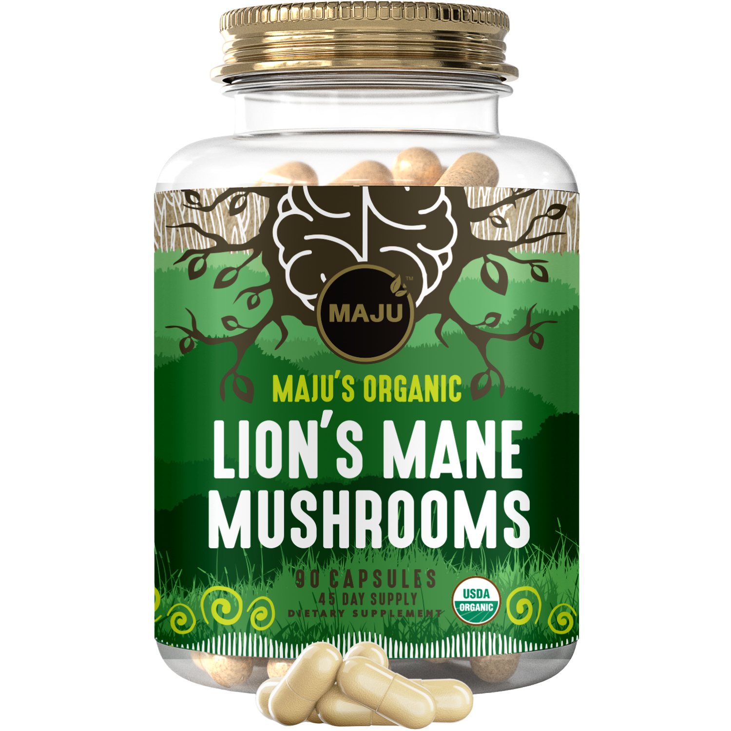 Lion's Mane Capsules (90ct) - Image 1