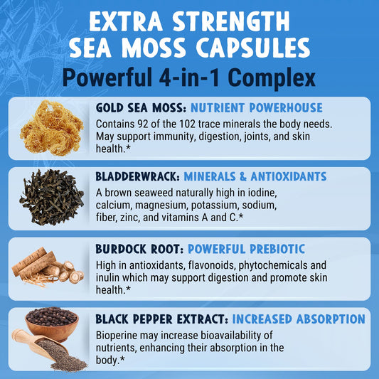 Wild Sea Moss Capsules (60ct) - Maju Superfoods