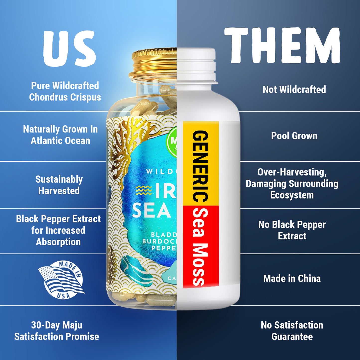 Maju Wild Sea Moss capsules 60 count bottle