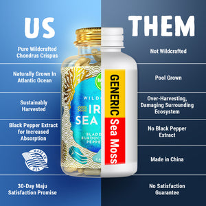 Wild Sea Moss Capsules (60ct) - Thumbnail 5