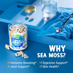 Wild Sea Moss Capsules (60ct) - Thumbnail 3